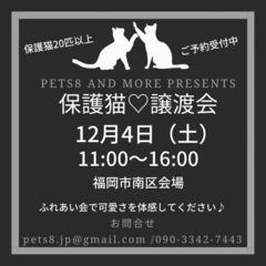 P保護猫♡譲渡会in福岡市南区　20匹の保護猫が大集合！
