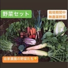 【ネット決済・配送可】朝どれ!有機野菜80サイズ!季節の野菜!