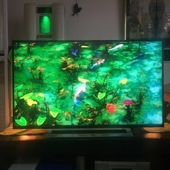 TOSHIBA◆43RZ630X◆4K液晶テレビ