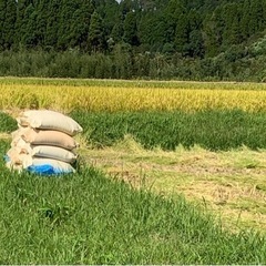 【ネット決済・配送可】２０２１年産　レンゲ米のヒノヒカリ、受付終...