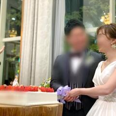 美品　Vネックウエディングドレス