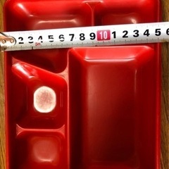 業務用弁当箱100個　