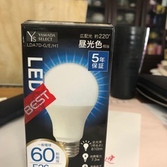 電球