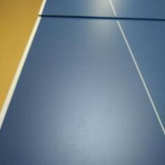 家庭用　卓球台(国際規格より小さめ)