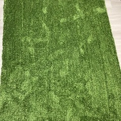 【値下げ】ニトリ製 グリーンのラグ（160×230cm）