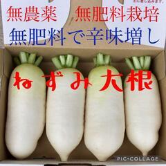 岡山県産 無農薬 無肥料栽培 ねずみ大根 1本150円 野菜