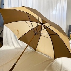 100cmの大きな傘