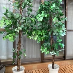 観葉植物　フェイク2鉢