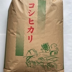 新米コシヒカリ30キロ 6000円