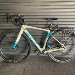 SPECIALIZED DIVERGE SPORT 2019年モデル