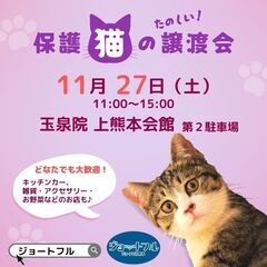 楽しい猫の譲渡会♪ 11/27上熊本