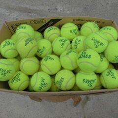 テニスボール　１００球