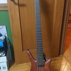 Warwick - 5-string Thumb bass