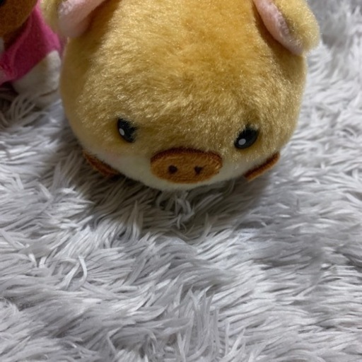 ハムスターガチャマスコットぬいぐるみ つむ 鳥取の服 ファッションの中古 古着あげます 譲ります ジモティーで不用品の処分