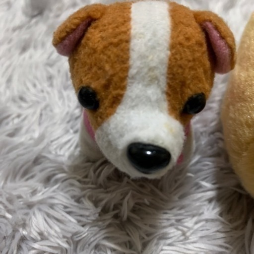 ハムスターガチャマスコットぬいぐるみ つむ 鳥取の服 ファッションの中古 古着あげます 譲ります ジモティーで不用品の処分
