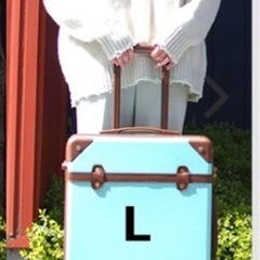 キャリーケースLサイズ