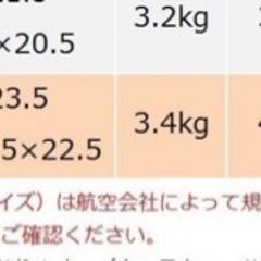 キャリーケースLサイズ