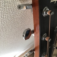 テイラーエレアコ美品