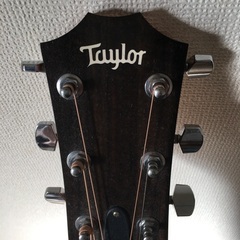 テイラーエレアコ美品