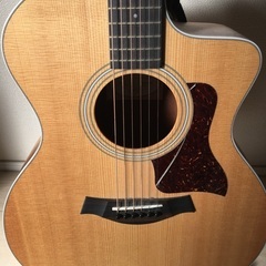 テイラーエレアコ美品