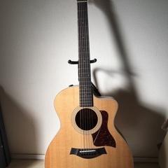 テイラーエレアコ美品