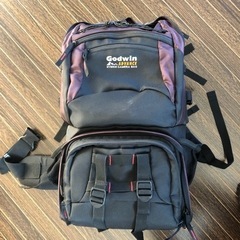 ＧｏｄｗｉｎのＡＤＶＡＮＣＥ  ＨＹＢＲＩＤ ＣＡＭＥＲＡ ＢＡＧ