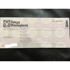 【ネット決済・配送可】ディズニー　チケット　ビッグ10