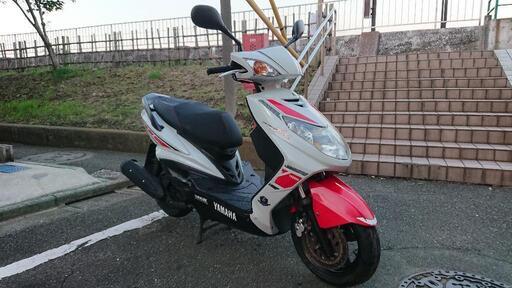 【今月限定価格】国内仕様1500台限定モデル シグナスXSR2型 SE44J