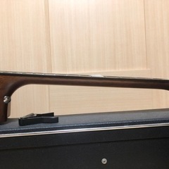 【オール単板】エピフォン / Masterbilt DR-400MCE VS