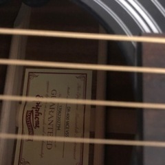 【オール単板】エピフォン / Masterbilt DR-400MCE VS