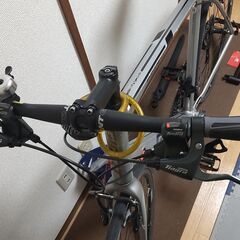 貴重 GIANT ESCAPE RX1 2019年モデル サイズL Vブレーキタイプ