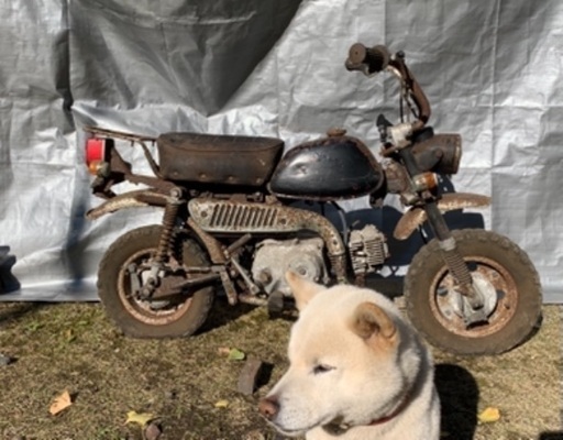 2 Z50J 4L モンキー 欠品多少 キックok 茨城県常陸太田市 かがく 2 Z50J 4L モンキー 欠品多少 キックok 茨城県常陸太田市 かがく