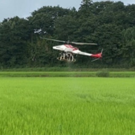 2袋セット【黒酢米】【新米】千葉県野田市産コシヒカリ30kg