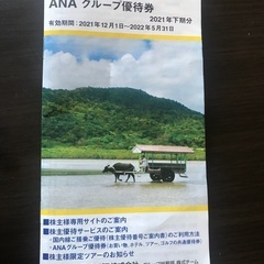 【ネット決済】ANAグループ優待券