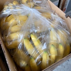 【ネット決済】フィリピン産バナナ　A品　1ケース 1000円（税込み）
