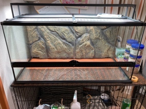 エキゾテラ9045 新品