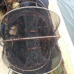 【漁師体験❕籠網🐟️引き上げ】しませんか❓️
