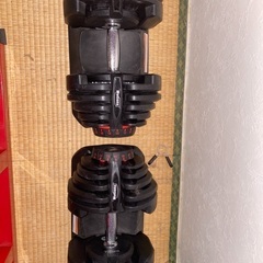 ダンベル（40kg×2）