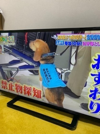 テレビ40インチ