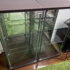 フィギュアラック(取引済)