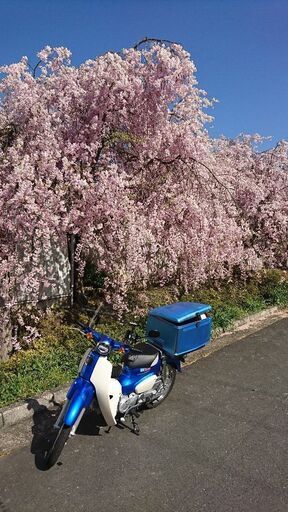 ホンダ スーパーｶﾌﾞ110　JA44