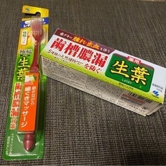 薬用生葉歯磨き粉＆生葉歯ブラシ