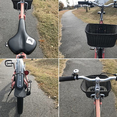 《値下げ！》【新品パーツ多数❕】LGS-MV1　/　LOUIS GARNEAU - ルイガノ【整備済み】