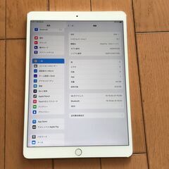 Apple iPad Pro 10.5インチ WIFI 