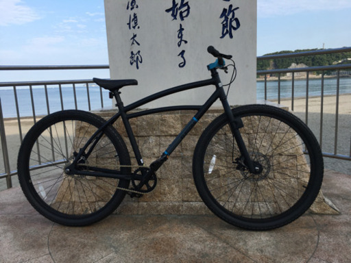 エレクトラ29インチ