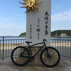 エレクトラ29インチ