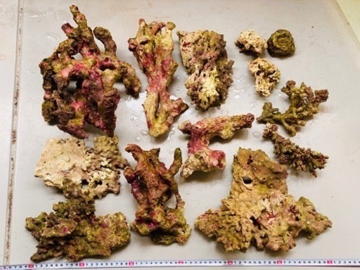 【値引交渉可】ライブロック 8kg 13個　海水魚 アクアリウム