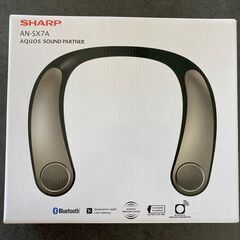 TRV-88SERプッシュプルプリメインアンプ