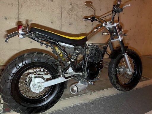 豊田市　ヤマハ　TW200　DG07J　実動