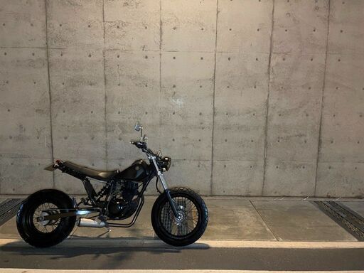 豊田市　ヤマハ　TW200　DG07J　ロンスイ　実動